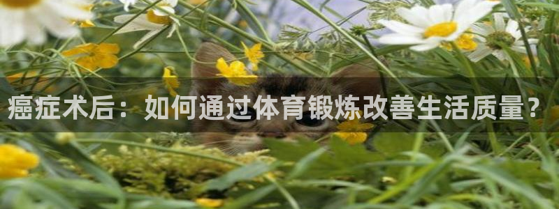 v站体育下载