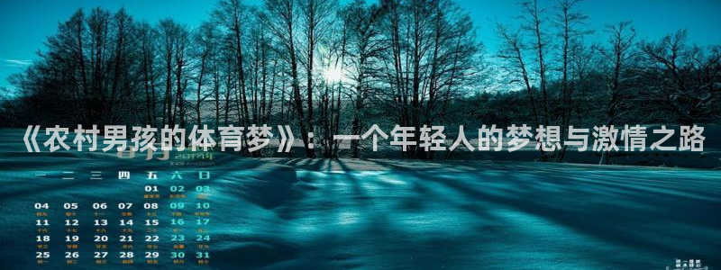 关键词：《农村男孩的体育梦》：一个年轻人的梦想与激情之路