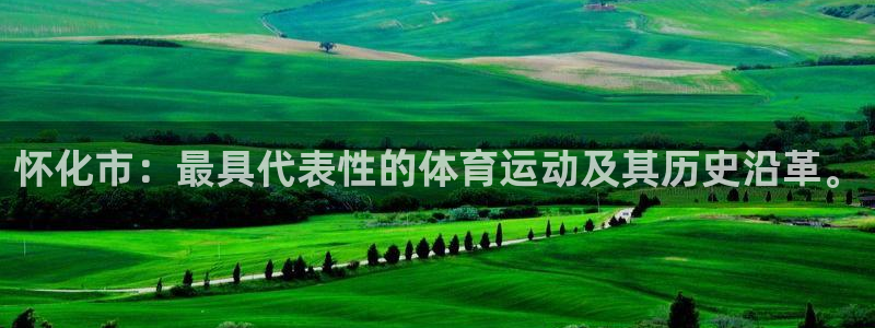v站体育破解