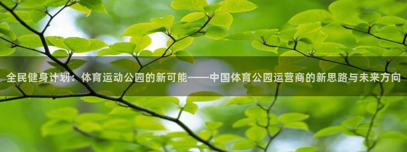 v站体育app官方下载：全民健身计划：体育运动公园的新可能——中国体育公园运营商的新思路与未来方向