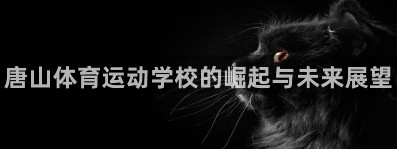 v站体育下载：唐山体育运动学校的崛起与未来展望